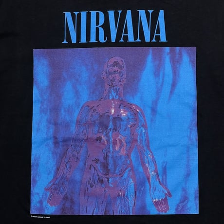 NIRVANA SLIVER ACME LARGE 4560