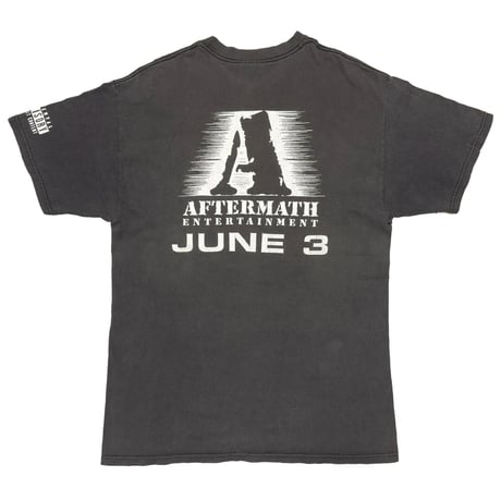 EMINEM THE EMINEM SHOW AFTERMATH ENTERTAINMENT Hanes LARGE 6644