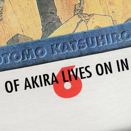 AKIRA DEAD STOCK COMIC Vol.6 YOUNG MAGAZINE LARGE 1017