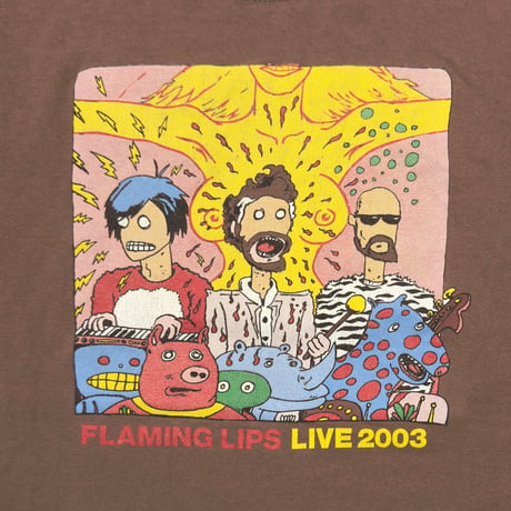 FLAMING LIPS LIVE 2003 君は一番美しい顔をしている。BROWN GILDAN LARGE 4525