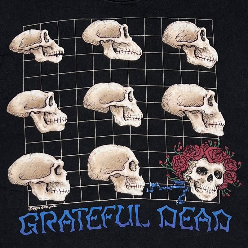 GRATEFUL DEAD WHAT A LONG ヴィンテージ GRATEFUL DEAD What a Long Strange Trip It's Bee