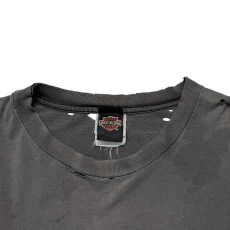 HARLEY DAVIDSON FLAME TAKE A RIDE IN THE COUNTRY ORWIGSBURG LS FADE XL 4282