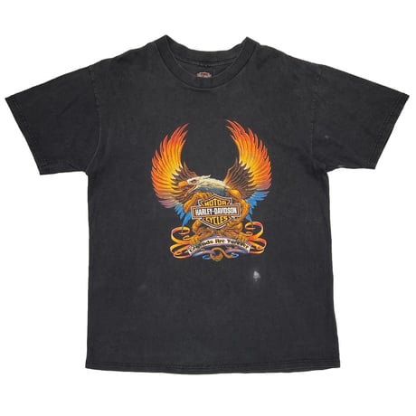 HARLEY DAVIDSON ZANOTTI BUTLER,PA LARGE 2735
