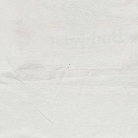 Budweiser 1988 LABEL LOGO WHITE Stedman LARGE 5875
