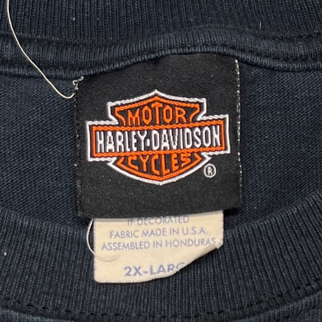 HARLEY DAVIDSON ARM FLAME LS COLORADO SPRING CO 2000 XXL 1004