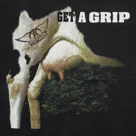 AERO SMITH 1993 GET A GRIP GIANT BY TULTEX XL 6841