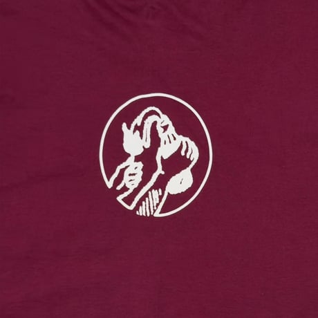 RAGE AGAINST THE MACHINE MOLOTOV BURGUNDY FRUIT OF THE LOOM LARGE 2370