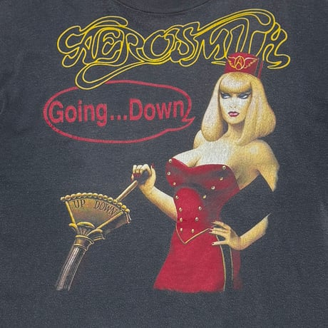 AEROSMITH PUMP ELEVATOR GIRL BROCKUM LARGE 4495