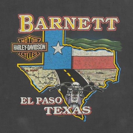 HARLEY DAVIDSON EAGLE FLAME BARNETT EL PASO TEXAS LS XL 6036