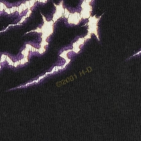 HARLEY DAVIDSON EAGLE LIGHTNING SOUTHSIDE LS XXL 0773