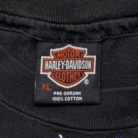 HARLEY DAVIDSON THUNDER & LIGHTNING OVP XL 4641