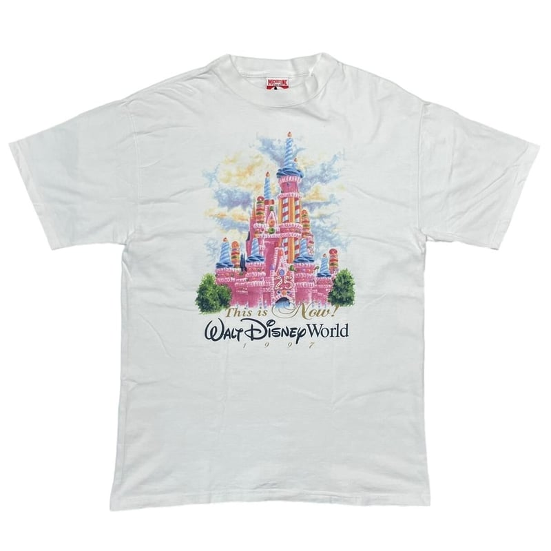 Walt Disney World Tシャツ 1997年 DISNEY VINTAGE 1997 WALT DISNEY WORLD THIS IS N