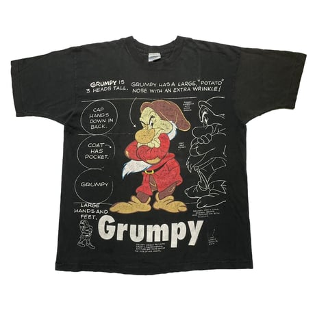 DISNEY VINTAGE GRUMPY 3 HEADS TALL TEE FITS XL 6786