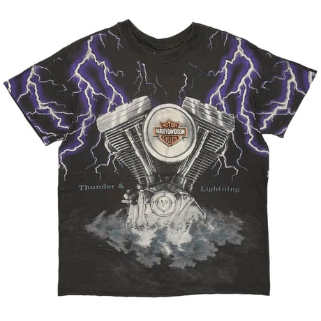 HARLEY DAVIDSON THUNDER & LIGHTNING OVP FITS XL 9413