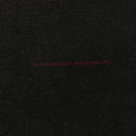 BACKSTREET BOYS MEMBER PORTRAIT WINTER LAND XL 3000