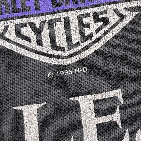 HARLEY DAVIDSON ENGINE PURPLE THUNDER NASHVILLE LARGE 6955