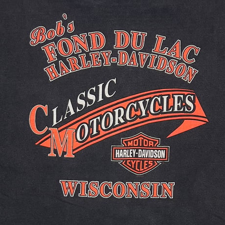 HARLEY DAVIDSON 2002 BLUE FLAME EAGLE WISCONSIN POCKET LS XL 3782
