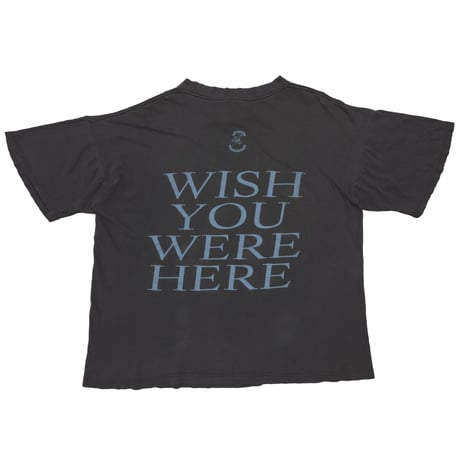 PINK FLOYD WISH YOU WERE HERE COTTON FORCE XL 2759