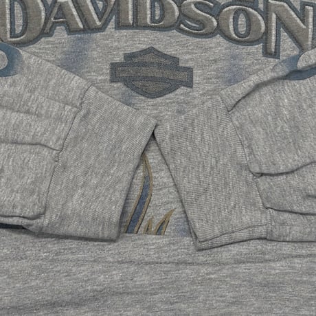 HARLEY DAVIDSON FRONT V FLAME SALTLAKESITY UTAH LS ASH GREY XL 7924