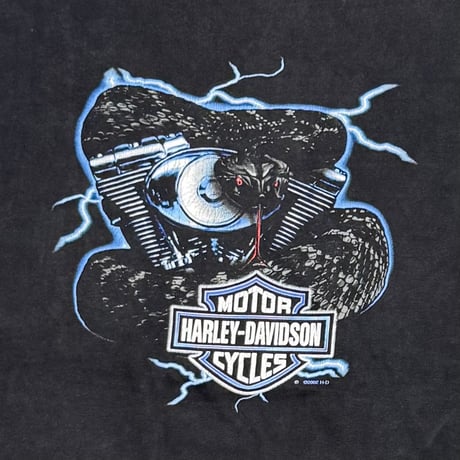 HARLEY DAVIDSON 2002 SNAKE ENGINE XXL 9759