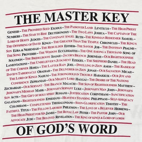 JESUS THE MASTER LEY OF GOD'S WORD LS WHITE HANES XL 2246