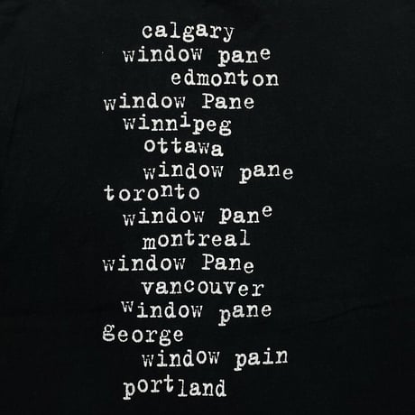 PEARL JAM 1993 WINDOW PAIN FULL BACK PRINT XL FRUIT OF THE LOOM 1866