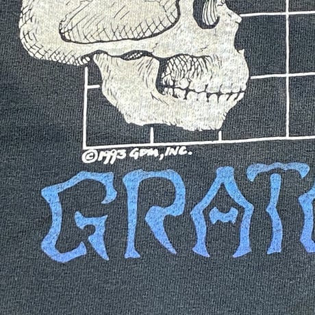 GRATEFUL DEAD LIQUID BLUE WHAT A LONG STRANGE TRIP ITS BEEN XL 1160