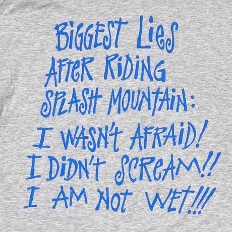 DISNEY VINTAGE SPLASH MOUNTAIN GREY XL 0779