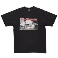 SOCIAL DISTORTION FALL TOUR 2001 GIANT LARGE 9985