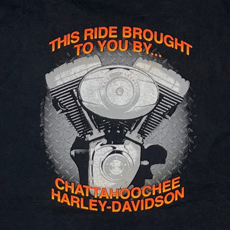HARLEY DAVIDSON CHATTAHOOCHEE BACK ENGINE SLEEVELES FITS XL 0735