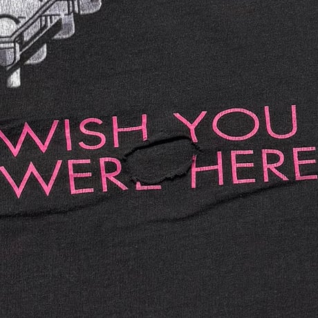 PINK FLOYD WISH YOU WERE HERE BROCKUM LARGE 3044