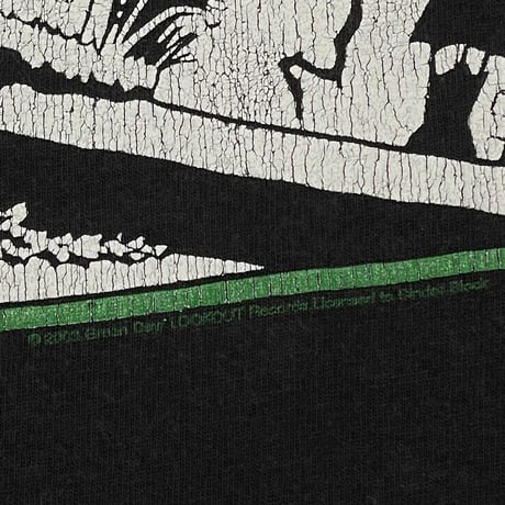 GREEN DAY 1039 Smoothed Out Slappy Hours FITS LARGE 5218