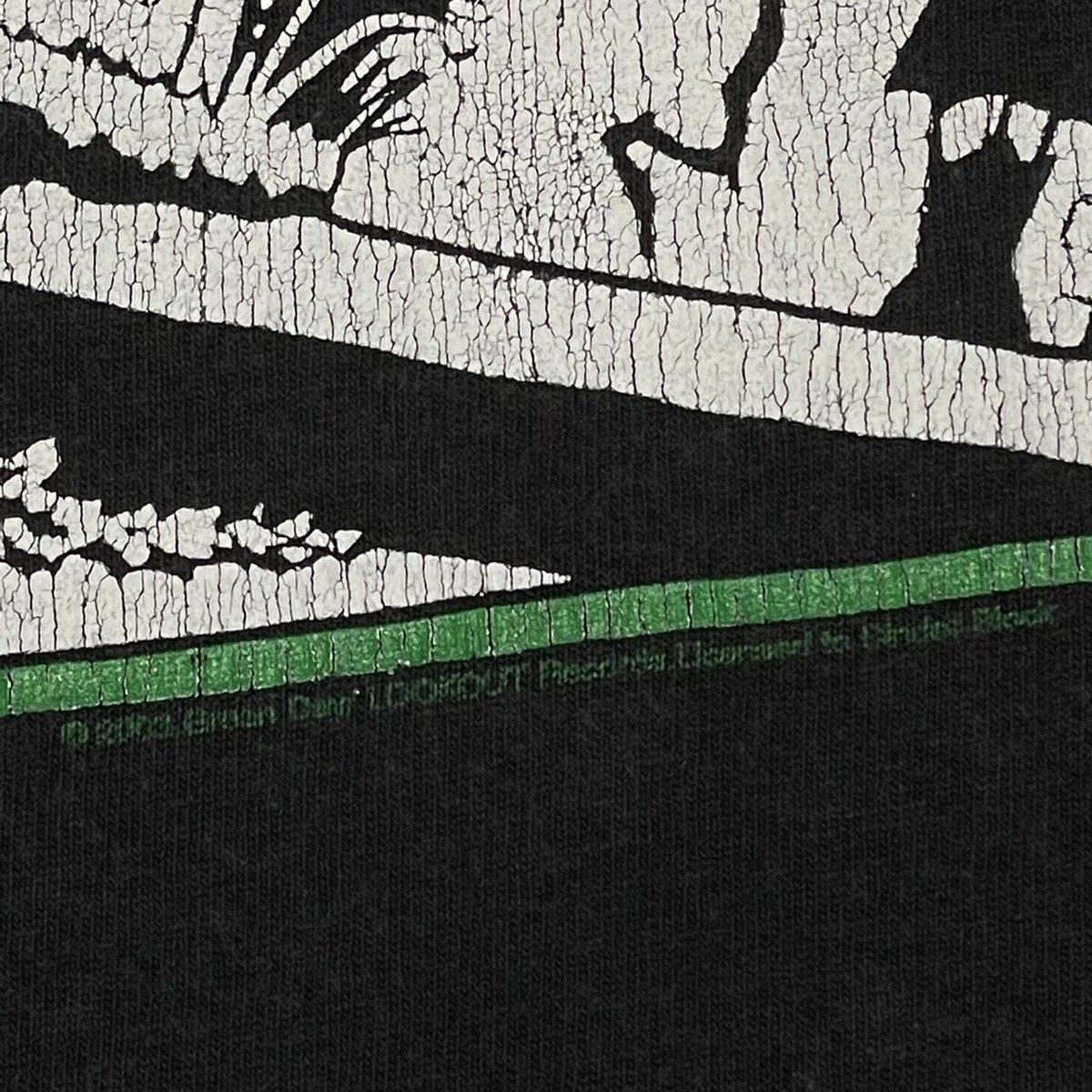 GREEN DAY 1039 Smoothed Out Slappy Hours FITS L