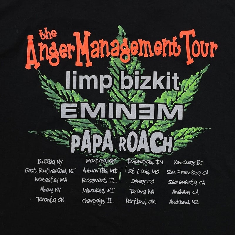 LIMP BIZKIT THE ANGER MANAGEMENT TOUR EMINEM FR