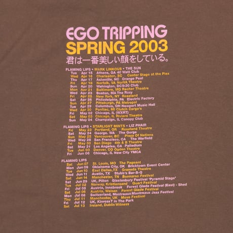 FLAMING LIPS LIVE 2003 君は一番美しい顔をしている。BROWN GILDAN LARGE 4525