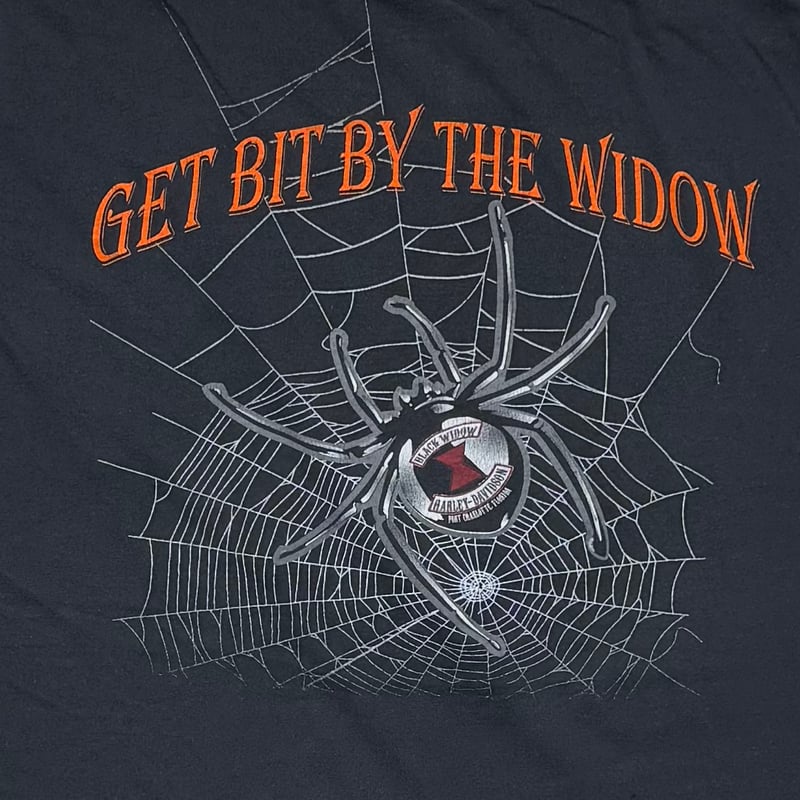 HARLEY DAVIDSON SPIDER GET BIT BY THE WIDOW FLO