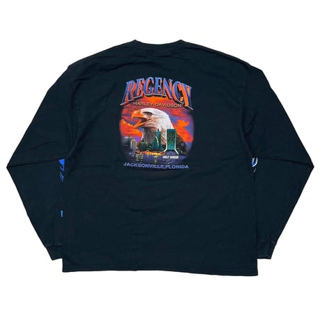 HARLEY DAVIDSON	2001 ARM BLUE FLAMING REGENCY JACKSONVILLE LS XXL 8728