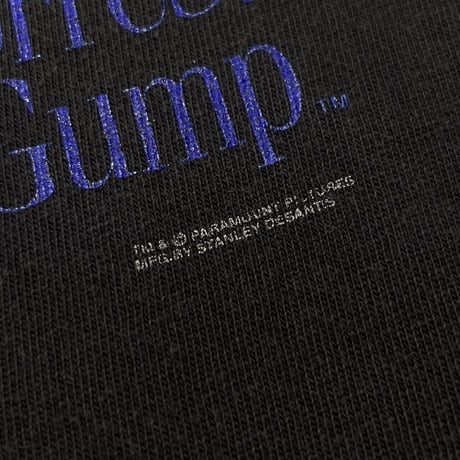 FORREST GUMP " stupid is as stupid does. " STANLEY DESANTIS LARGE 9119