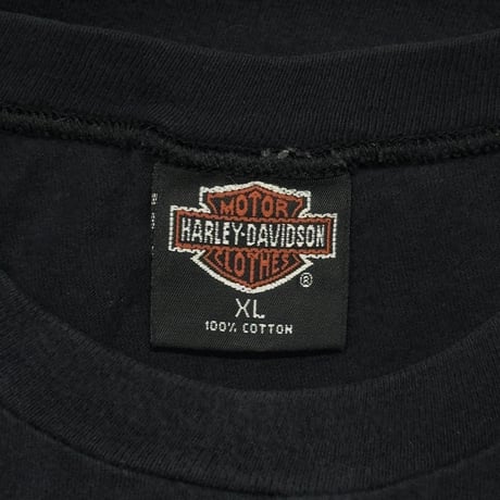 HARLEY DAVIDSON FLAME EAGLE McDERMOTT'S LS XL 7393
