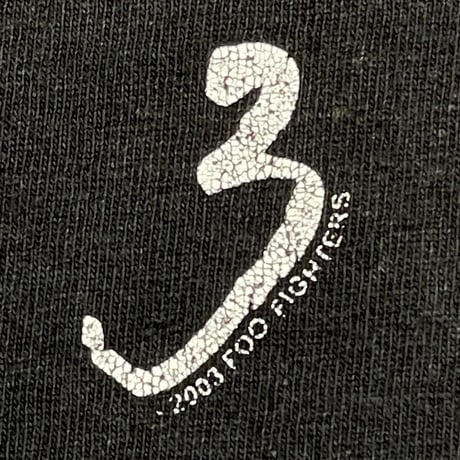 FOO FIGHTERS 2003 ONE BY ONE FRUIT OF THE LOOM LARGE 2084