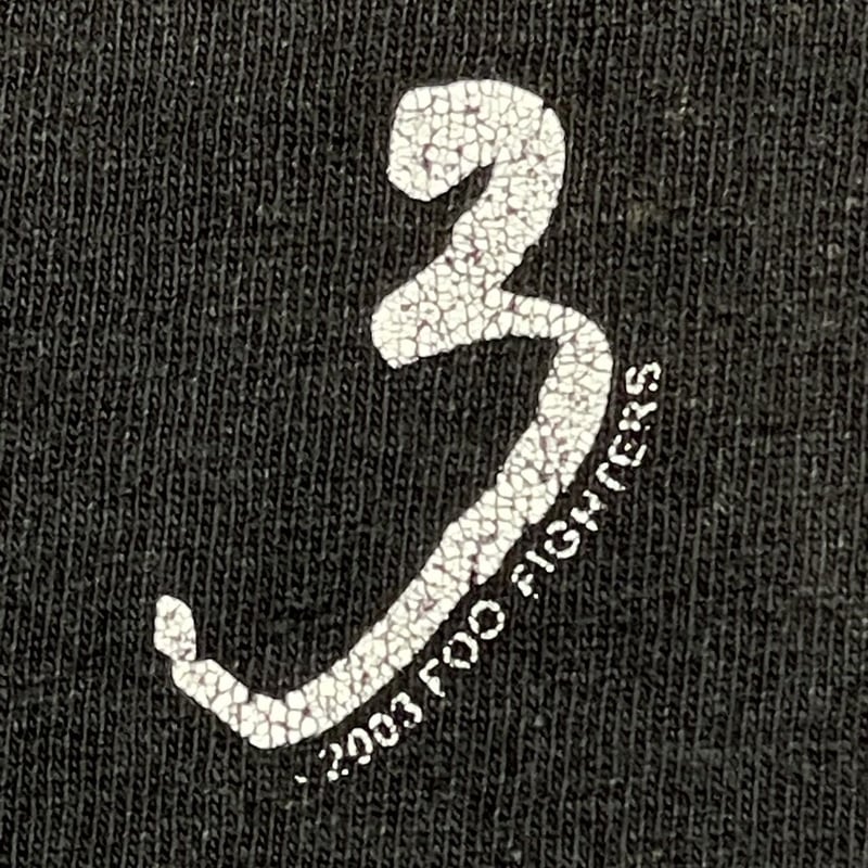 Foo Fighters 1st USオリジナル シュリンク付 FOO FIGHTERS THE COLOUR AND THE SHAPE 1997 WILD