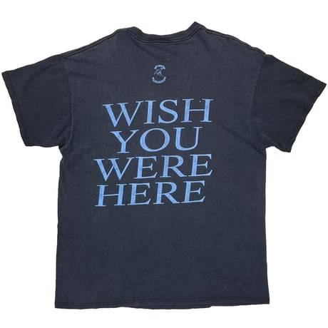 PINK FLOYD WISH YOU WERE HERE DELTA XL 6648