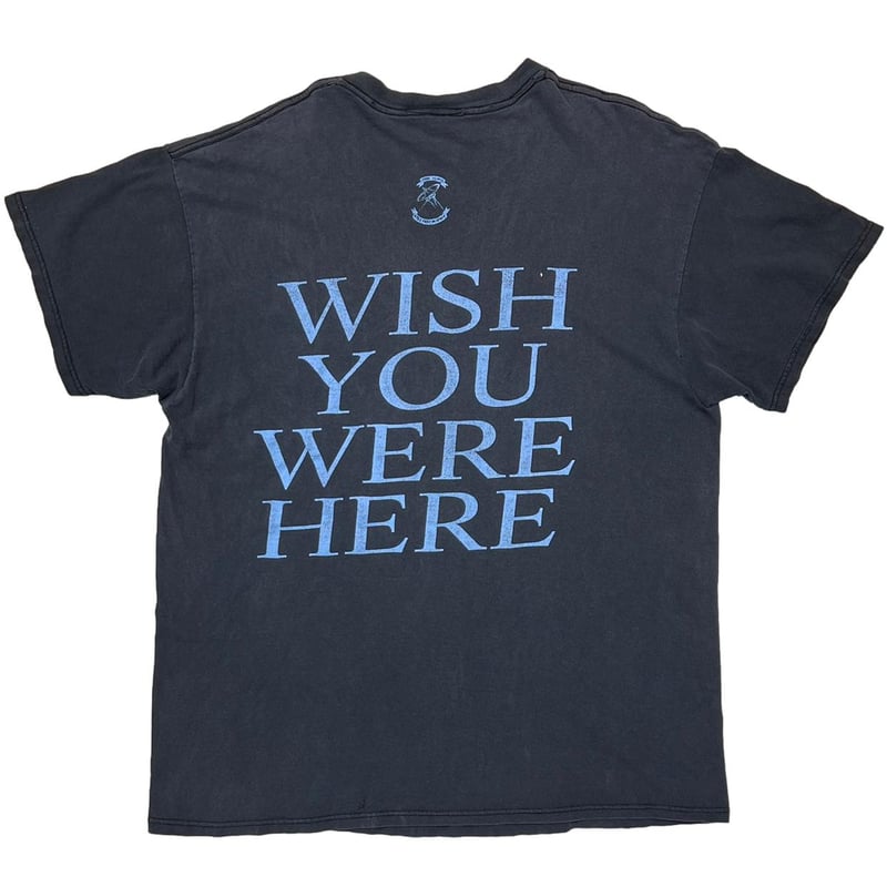 PINK FLOYD WISH YOU WERE HERE DELTA XL 6648 | g