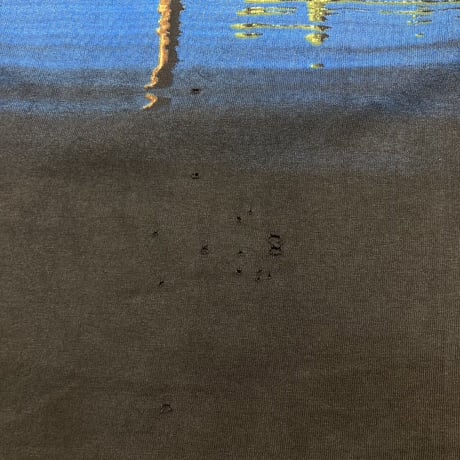 PINK FLOYD 1992 WISH YOU WERE HERE BROCKUM LARGE 5599