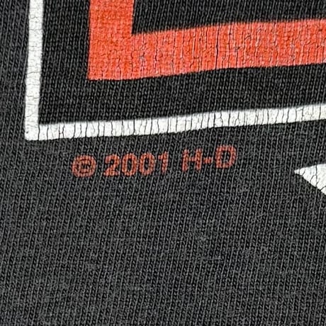 HARLEY DAVIDSON BIG EMBLEM ARM CHAIN PRINT 2001 TWIN STATES LS LARGE 3780