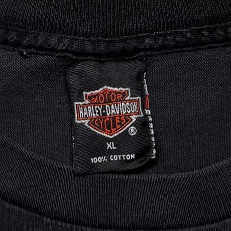 HARLEY DAVIDSON CHROME FLAMING LOGO BUFFALO XL 9129