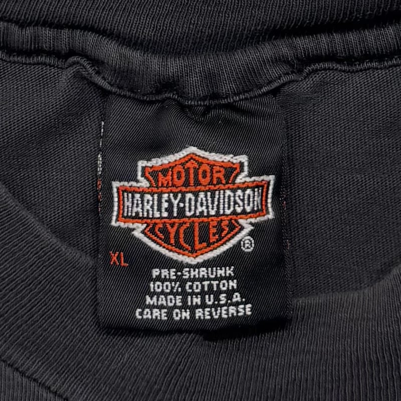 HARLEY DAVIDSON THUNDER & LIGHTNING TEXT LOGO G