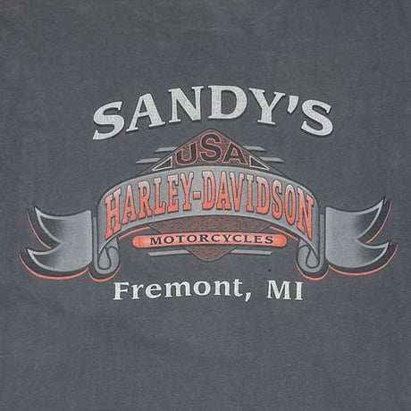 HARLEY DAVIDSON FRONT V FLAME SANDY'S LS FITS LARGE 8351