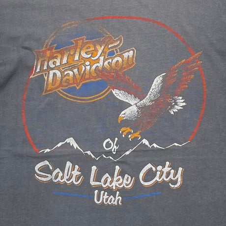 HARLEY DAVIDSON DOUBLE EAGLE SALTLAKECITY HANES XL 7974