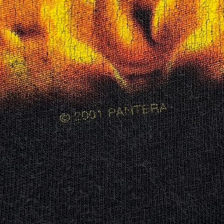 PANTERA NAKED GIRL FLAME CYGNUS LARGE 4804